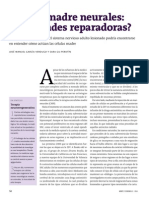 Texto Células madre neuronales.pdf