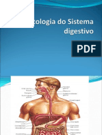 Aula 12, 13- Sistema Digestivo (1)