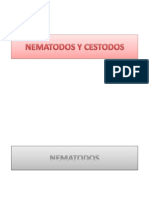 Nematodos y Cestodos