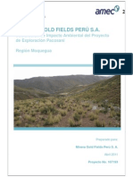 DIA_Proyecto_Exploracion_Pacosani_Resumen_Ejecutivo.pdf