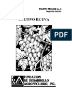 uva.pdf