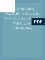 Reporte Sobre Posibles Actividades Económicas para La Comunidad de Media Luna (Urubamba)