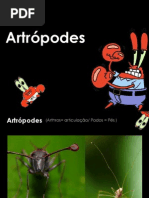 artropodes.ppt