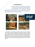 La Deforestacion