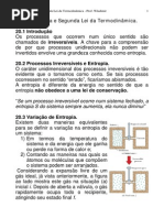 CAP_20_ENTROPIA_SEGUNDA_LEI_TERMODINAMICA.pdf