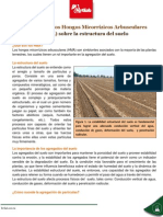 NT Actividad de Los Hongos Micorrizicos Arbusculares HMA Sobre La Estructura Del Suelo PDF