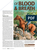 Breath: The Circulatory and Respiratory Systems Work Together To Fuel The Horse's Body