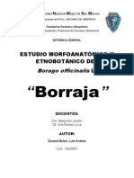 Monografia de Borraja
