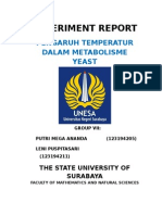 Experiment Report Temperatur Pd Metabolisme Yeast