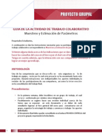 Pautas_Proyecto_Grupal_Estadistica_Inferencial.pdf