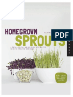 Homegrown sprouts