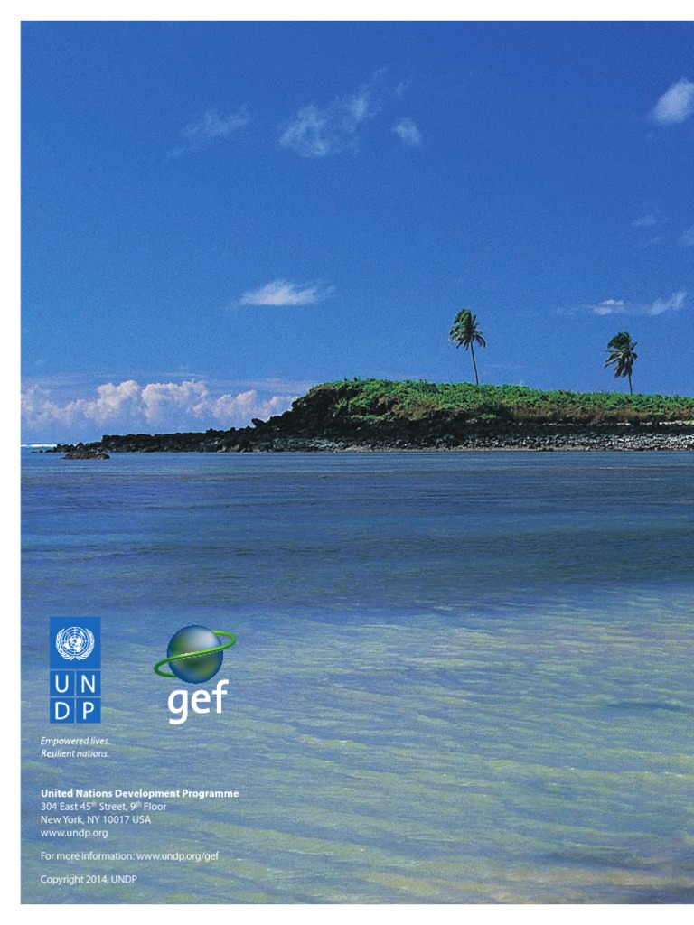 UNDP WS IslandInnovations UNDP GEF Leveraging The Env PDF | PDF ...