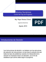 Control_de_Flujo_de_Programa_MN_IE_REMCh.pdf