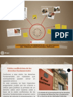Expo Procesal Consti PDF
