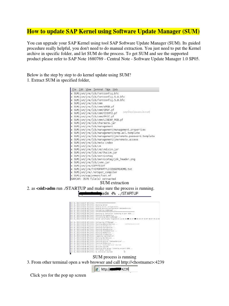 SAP Kernel Upgrade with SUM Guide | PDF | Kernel (Operating System ...