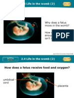 Life in The Womb Images