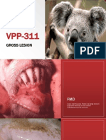 VPP 311 Slides