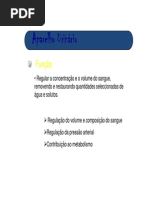 SISTEMA URINÁRIO.pdf