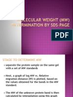 Molecular Weight (MW) Determination