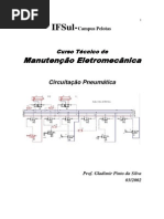 Circuitacao pneumatica basica.pdf