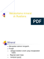 bbc115_slide_metabolisme_mineral.pdf