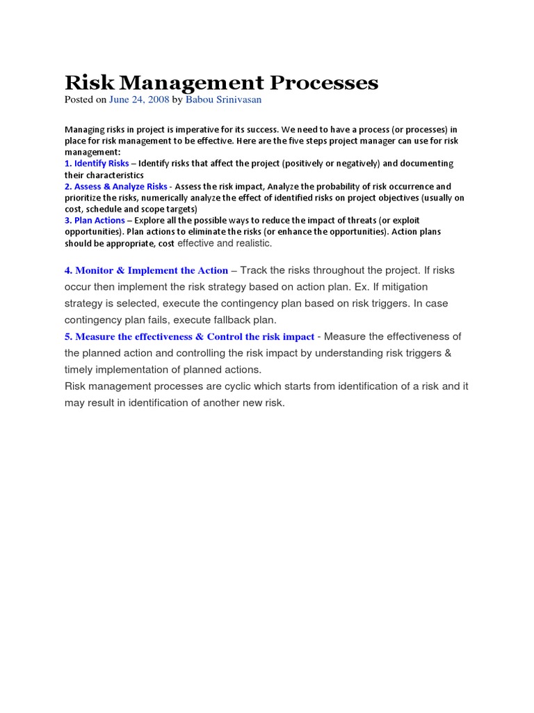 Effective Risk Management Steps | PDF | Risk Management | Risk