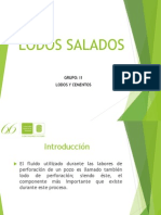 lodos salados (1).pdf