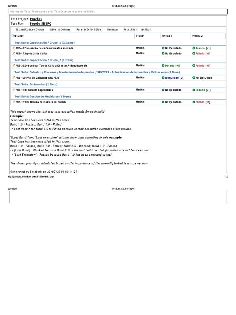 TestLink Execution Report | PDF