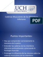 Cadenas Musculares de los Miembros Inferiores.pptx