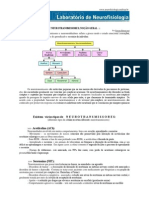neurotransmissores.pdf