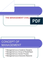 The Management Challenge