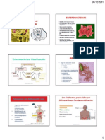 Enfermedades Causadas Por Enterobacterias PDF