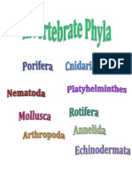 Invertebrate Phyla Titles