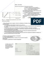 Ficha de Trabalho 