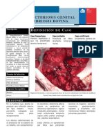 Campilobacteriosis PDF