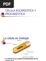 UNIDAD I CLASE 2 - CELULA EUCARIOTICA Y PROCARIOTICA.pptx