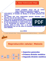 meiosis_b2.ppt
