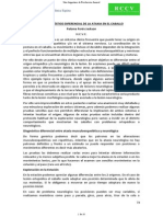 ETT EQUINO - Ataxia PDF