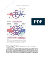 Eventos Vasculares de La Inflamación