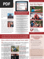 Gun Rights Brochure