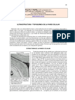 Estructura celular de la madera a nivel molecular