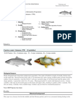 FAO Fisheries & Aquaculture - Cyprinus Carpio (Linnaeus, 1758)