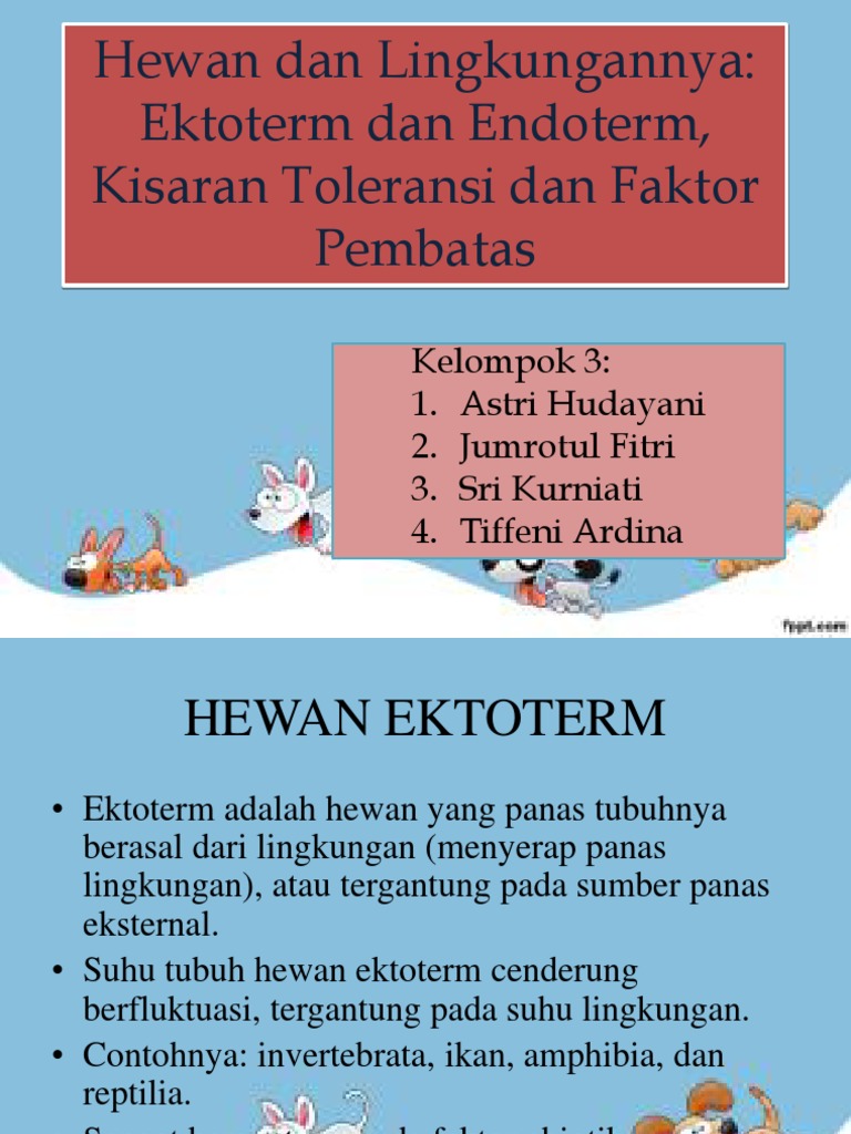 6600 Koleksi Gambar Hewan Dan Lingkungannya Gratis Terbaik