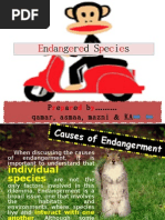Download Endangered Species by QamarAz-Zaiddy SN24259570 doc pdf