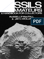Fossils For