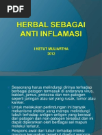 Download Herbal Sebagai Anti Inflamasi by kuncupcupu1368 SN242603145 doc pdf