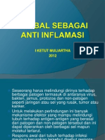 Herbal Sebagai Anti Inflamasi