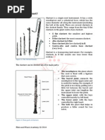 A Guide To Clarinet For Dummies