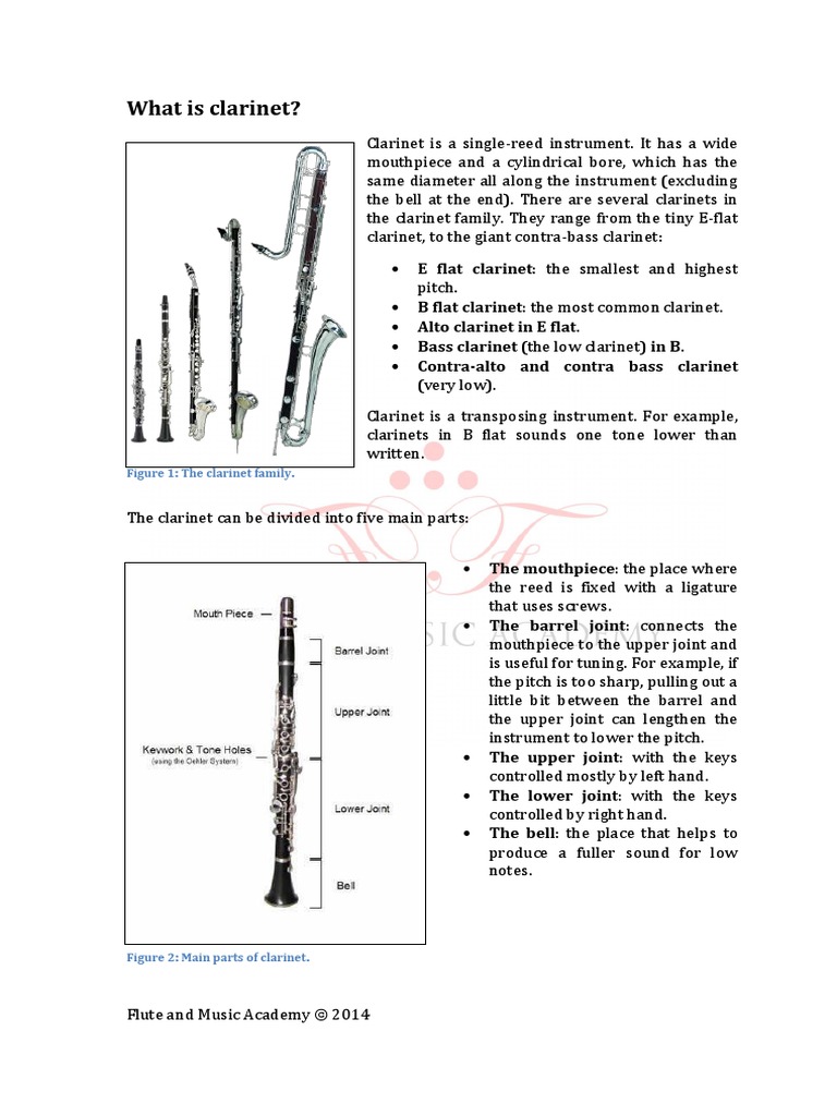 A Guide To For Dummies Elementary Organology