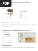 PREPARAÇÃO TESTE DE AVALIAÇÃO CIENCIAS.docx